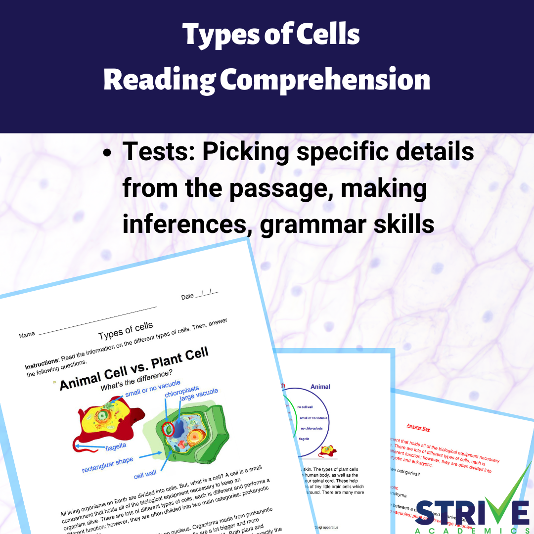 Types Of Cells English Reading Comprehension Worksheet Classful Types Of Cells English Reading Comprehension Worksheet Classful