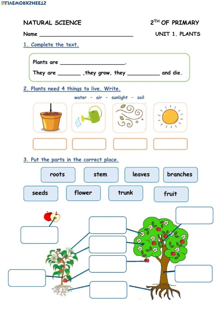 Unit 1 Plants 2 E P Worksheet Worksheets Library