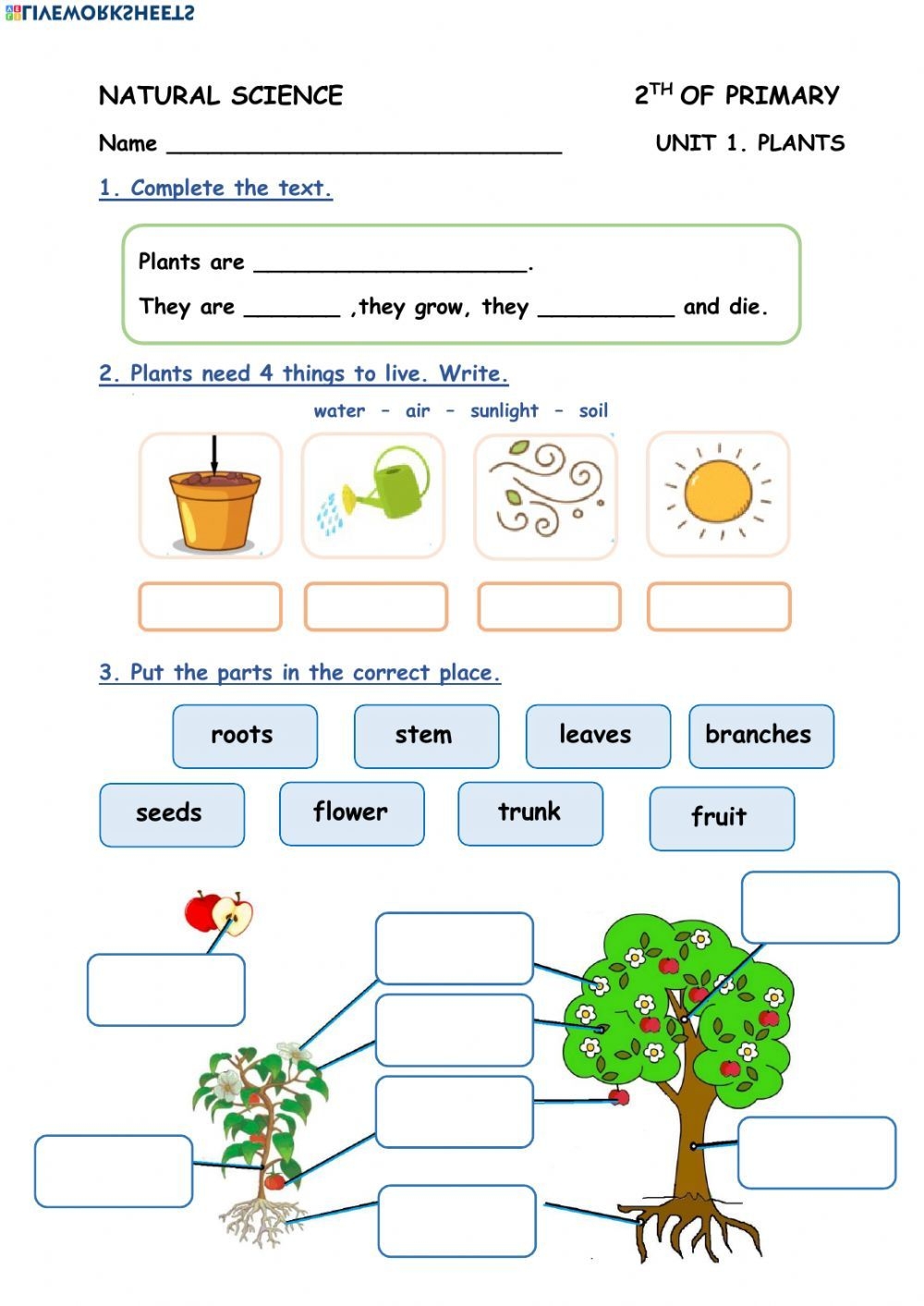 Unit 1 Plants 2 E P Worksheet Worksheets Library