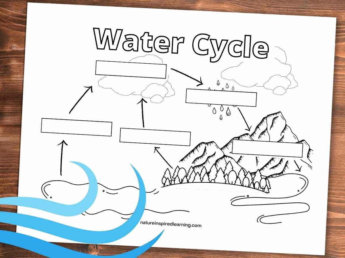 Water Cycle Coloring Pages Nature Inspired Learning Water Cycle Coloring Pages Nature Inspired Learning