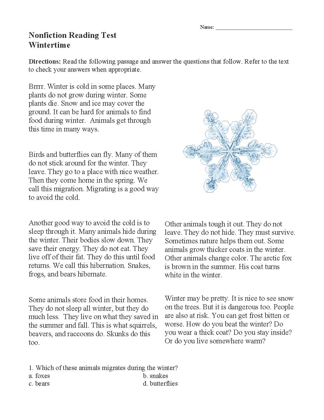 Wintertime Nonfiction Reading Activity