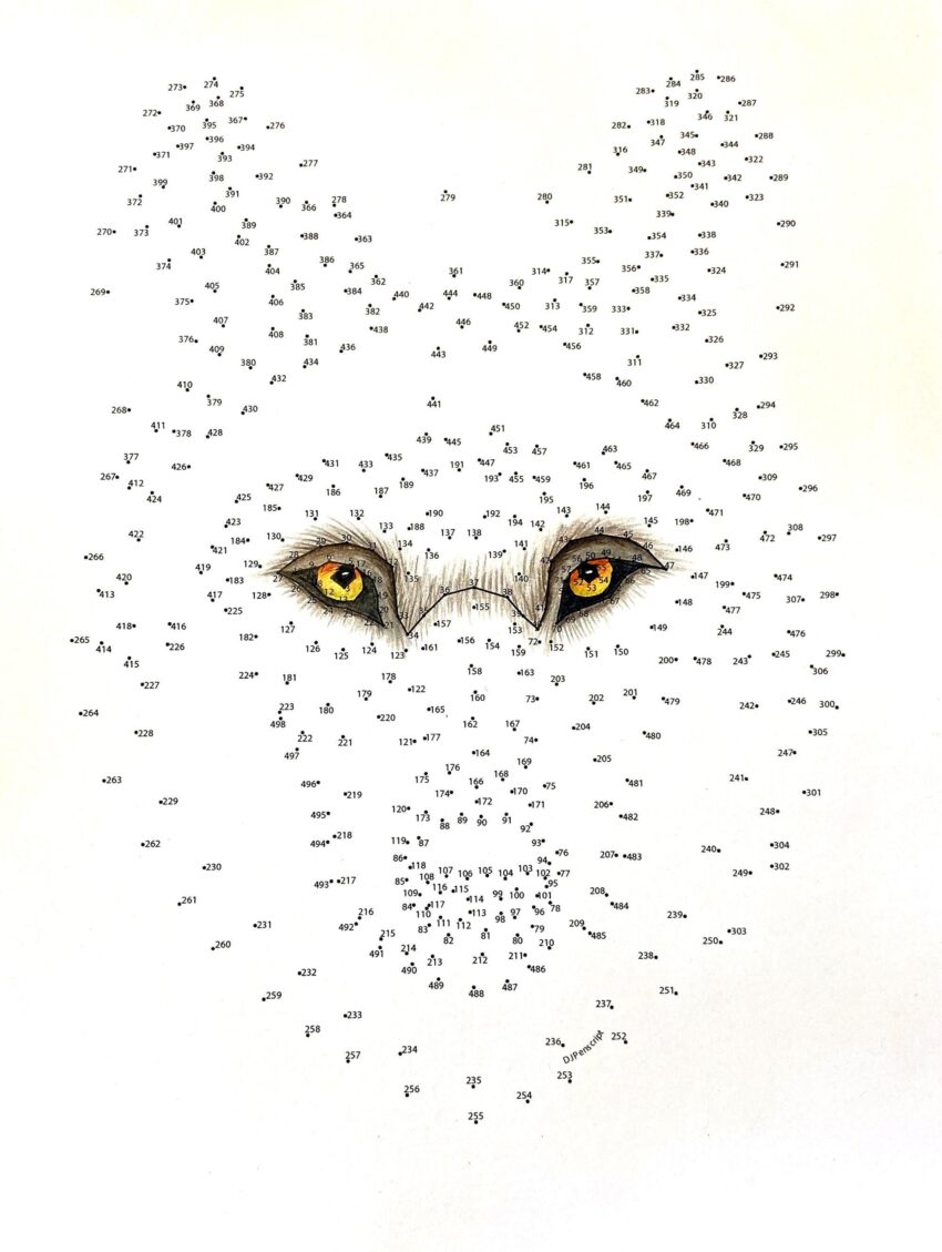 Wolf Extreme Dot To Dot PDF Activity And Coloring Page Etsy