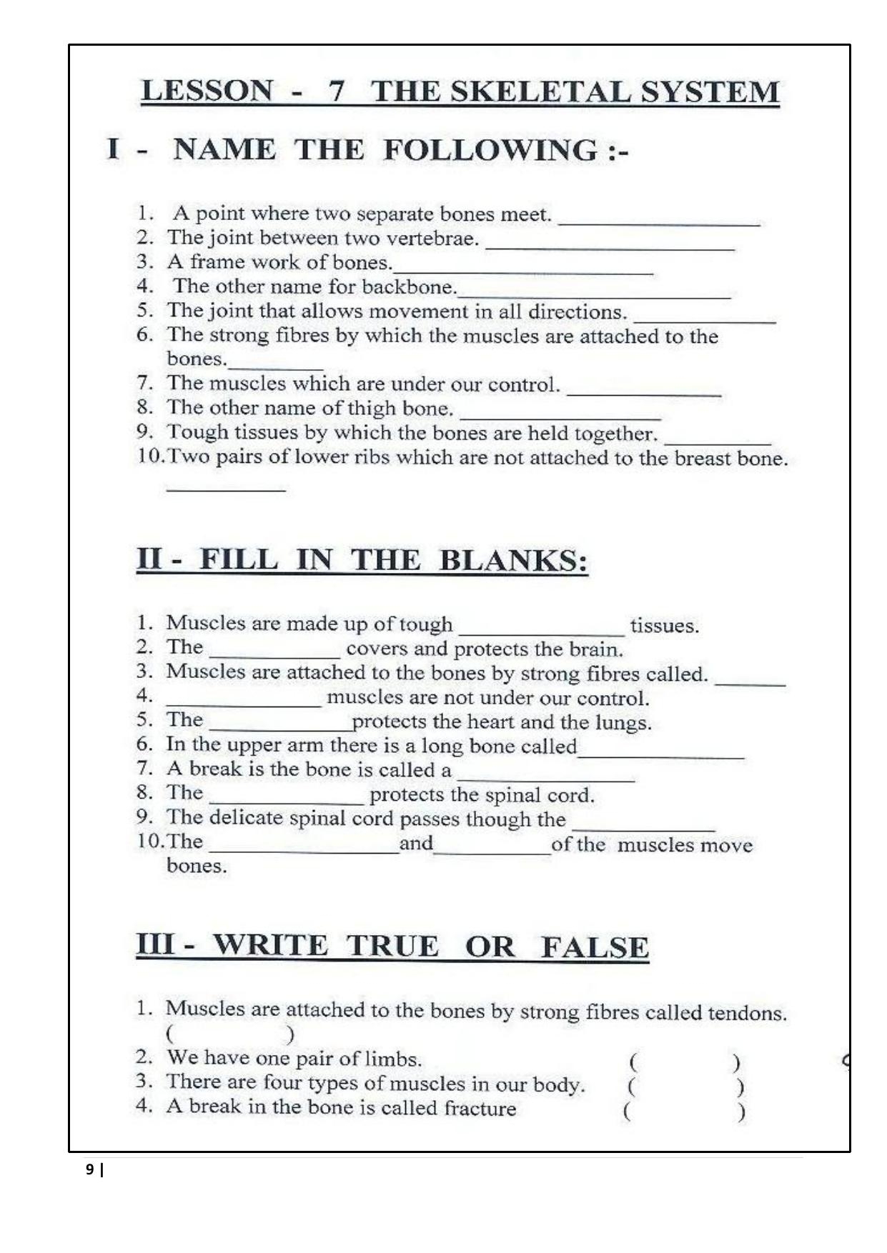 Worksheet For Class 5 Science The Skeletal System Assignment 2 IndCareer Docs Worksheet For Class 5 Science The Skeletal System Assignment 2 IndCareer Docs