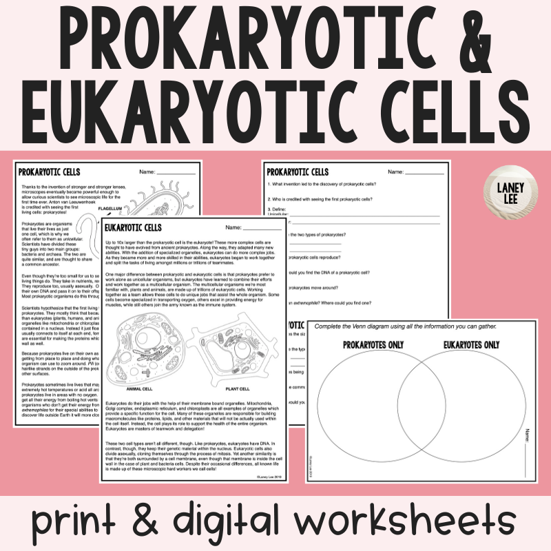 WORKSHEET PROKARYOTIC AND EUKARYOTIC CELL Exams Cell Biology Worksheets Library