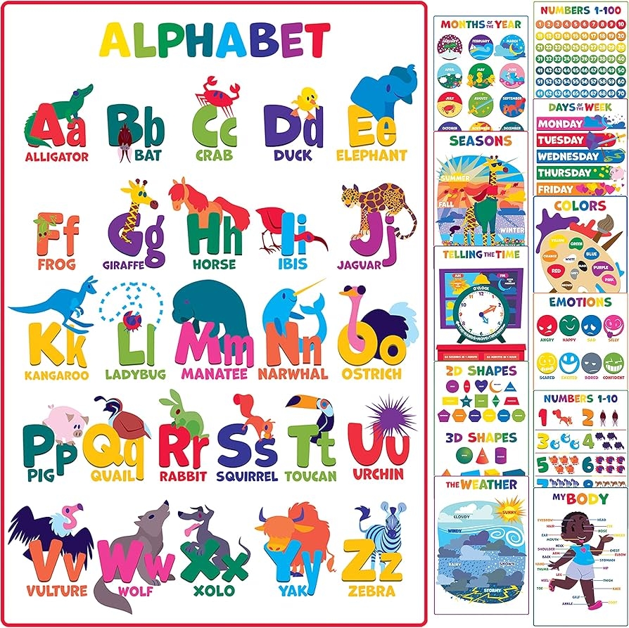 Youngever 12 Pack Laminated Preschool Learning Posters For Toddlers And Kids Alphabet ABC Posters 22 X 17 Inch Youngever 12 Pack Laminated Preschool Learning Posters For Toddlers And Kids Alphabet ABC Posters 22 X 17 Inch